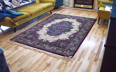 aryanrugs.com